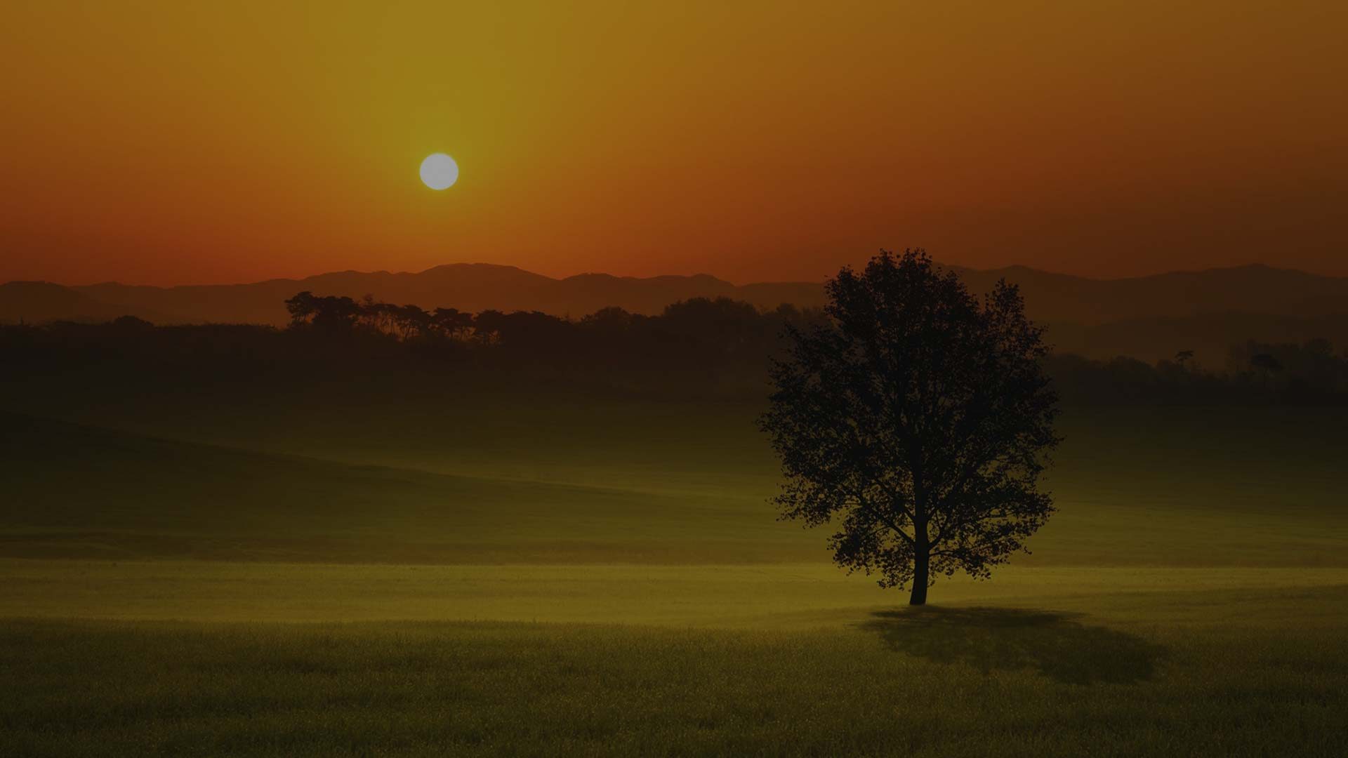 Love of Nature